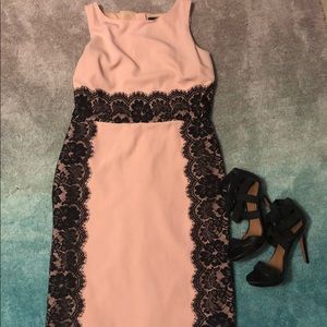 👗The Limited 👗